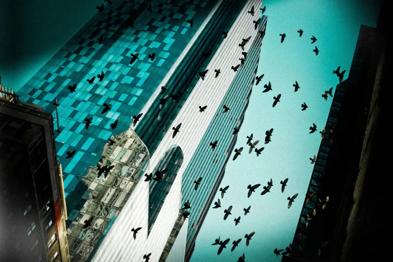 Birds in flight over Manhattan, from Polyphony