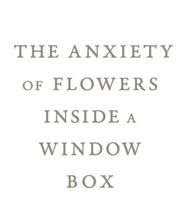 The Anxiety of Flowers Inside a Window Box